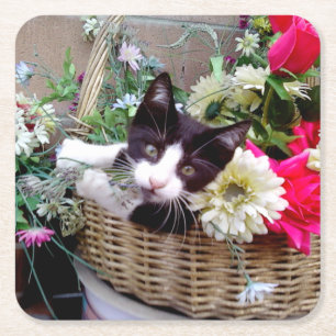 Dessous De Verre Carré Chaton dans un panier