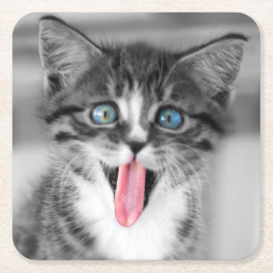 Dessous De Verre Carré Chaton drôle