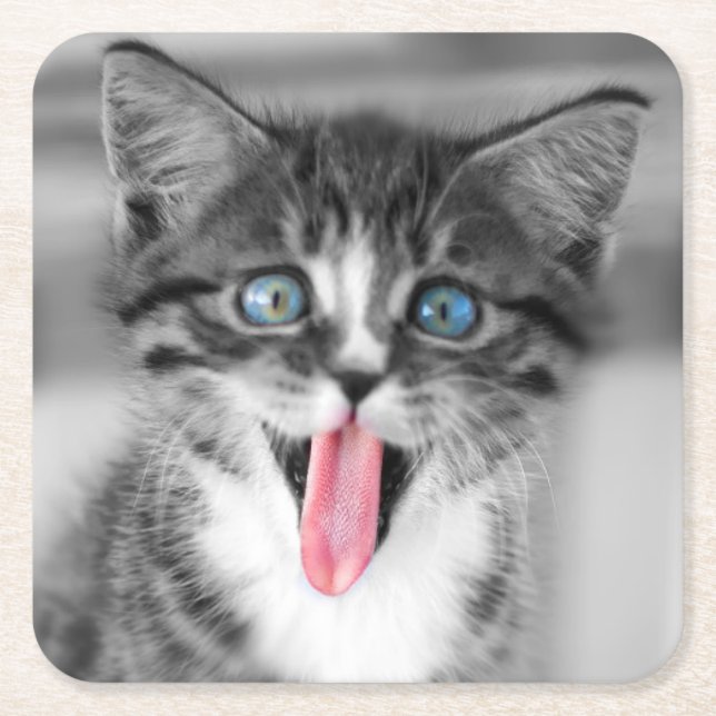 Dessous De Verre Carré Chaton drôle (Devant)