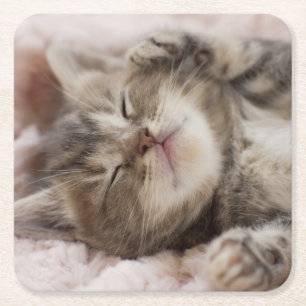 Dessous De Verre Carré Chaton somnolent