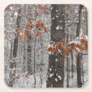 Dessous De Verre Carré Chênes couverts de neige hiver Photographie de la