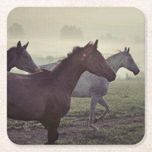 Dessous De Verre Carré Chevaux sauvages
