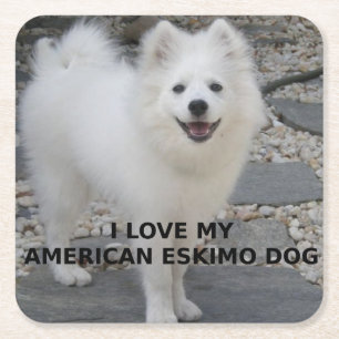 Dessous De Verre Carré Chien Américain Eskimo amour avec photo