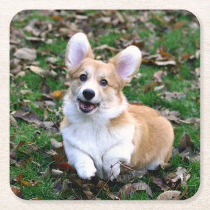 Dessous De Verre Carré Chien Corgi mignon qui bondit
