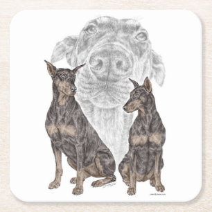 Dessous De Verre Carré Chiens de Doberman noir et tan