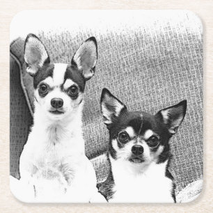 Dessous De Verre Carré Chihuahua