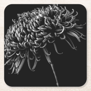 Dessous De Verre Carré Chrysanthème