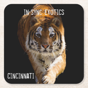 Dessous De Verre Carré Cincinnati Tiger -
