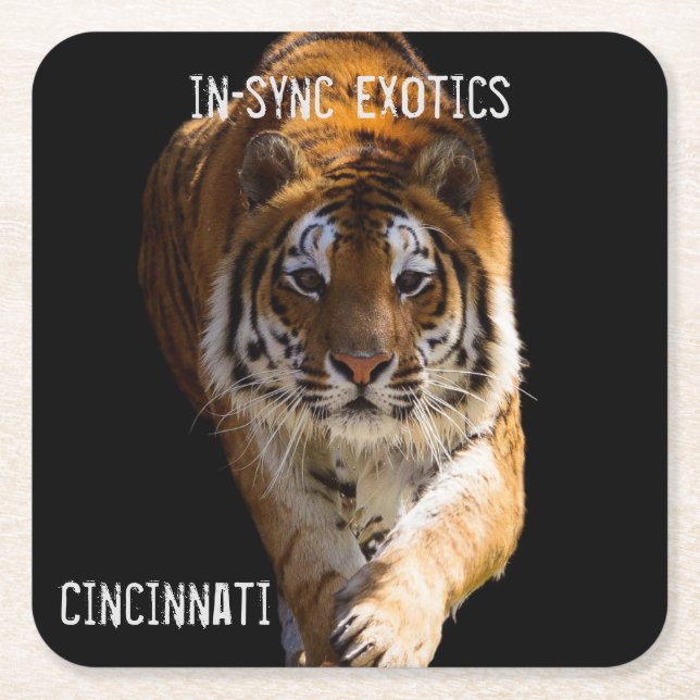 Dessous De Verre Carré Cincinnati Tiger - (Devant)