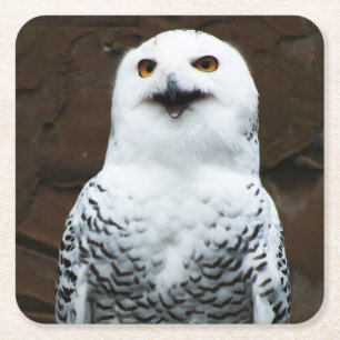 Dessous De Verre Carré Coastère de Snowy Owl