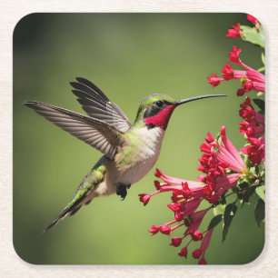 Dessous De Verre Carré Colibri magnifique