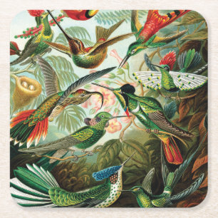 Dessous De Verre Carré Colibris par Ernst Haeckel