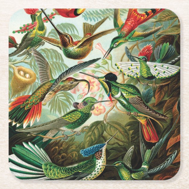 Dessous De Verre Carré Colibris par Ernst Haeckel (Devant)