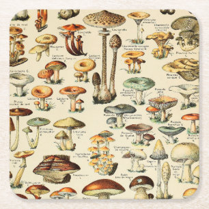 Dessous De Verre Carré Collection de champignons