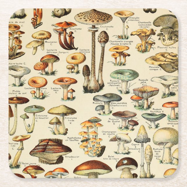 Dessous De Verre Carré Collection de champignons  (Devant)