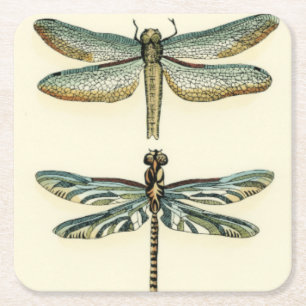 Dessous De Verre Carré Collection de libellule par Chariklia Zarris