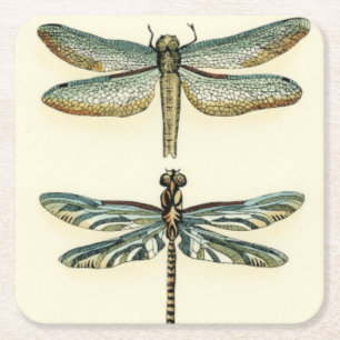 Dessous De Verre Carré Collection de libellules par Chariklia Zarris