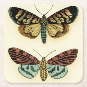 Dessous De Verre Carré Collection de papillon par Chariklia Zarris