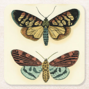 Dessous De Verre Carré Collection de papillon par Chariklia Zarris