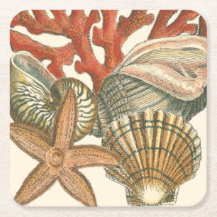 Dessous De Verre Carré Collection de vie marine