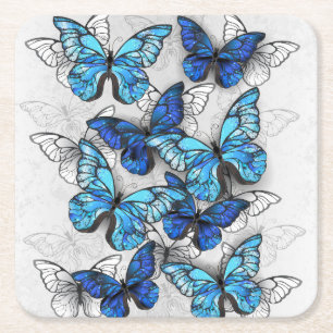 Dessous De Verre Carré Composition des White and Blue Butterflies