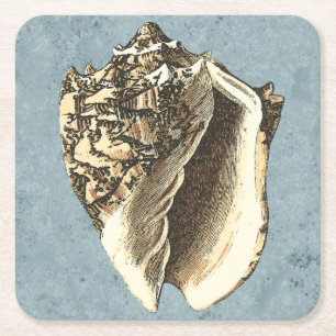 Dessous De Verre Carré Conque délavée Shell