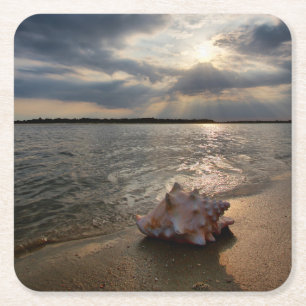 Dessous De Verre Carré Conque Shell à la plage St Augustine, la Florid