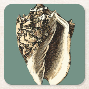 Dessous De Verre Carré Conque turquoise Shell