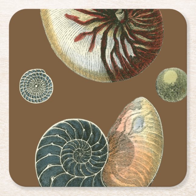 Dessous De Verre Carré Coque de cacao (Devant)