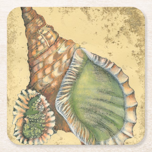 Dessous De Verre Carré Coquillage Brown et vert (Devant)