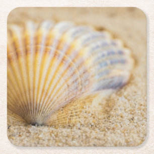 Dessous De Verre Carré Coquillage doux