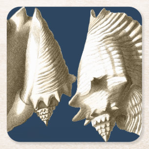 Dessous De Verre Carré Coquillages Sepia Conch