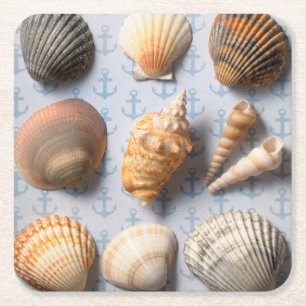 Dessous De Verre Carré Coquillages sur le contexte d'Ancre