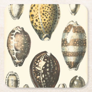 Dessous De Verre Carré Coquillages uniquement formés