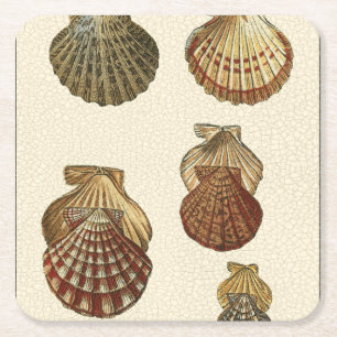 Dessous De Verre Carré Coquilles antiques crépitées