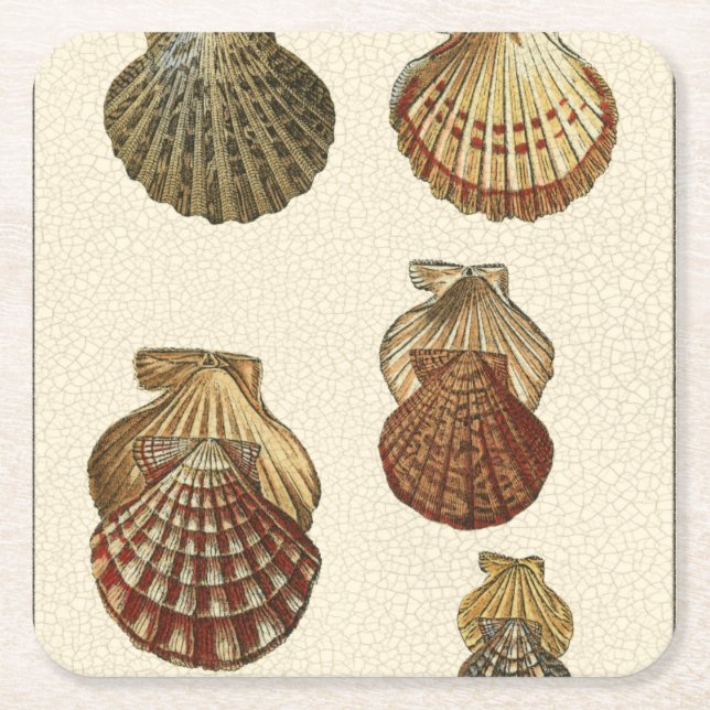 Dessous De Verre Carré Coquilles antiques crépitées (Devant)