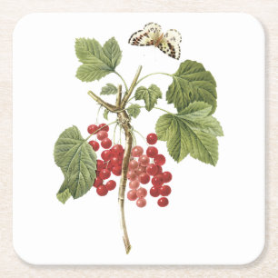 Dessous De Verre Carré currant rouge (Ribes rubrum) par Redouté