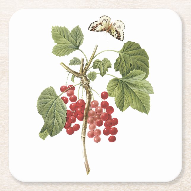 Dessous De Verre Carré currant rouge (Ribes rubrum) par Redouté (Devant)