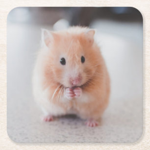Dessous De Verre Carré Cute Hamster Love Animals