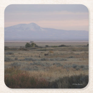 Dessous De Verre Carré D10 Cerf à queue blanche dans des collines de Sand