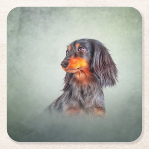 Dessous De Verre Carré Dachshund aux cheveux longs