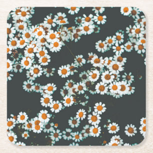 Dessous De Verre Carré Daisy Daisies Floral