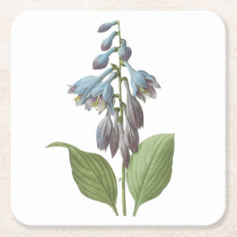 Dessous De Verre Carré daylily (Hemerocallis caerulea) par Redouté