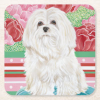 Della Rose Maltese