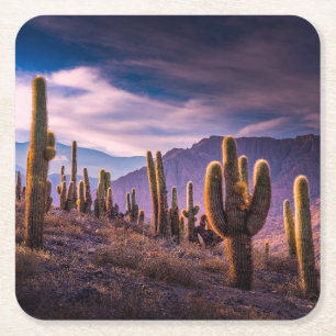 Dessous De Verre Carré Deserts   Cactus Landscape Argentina