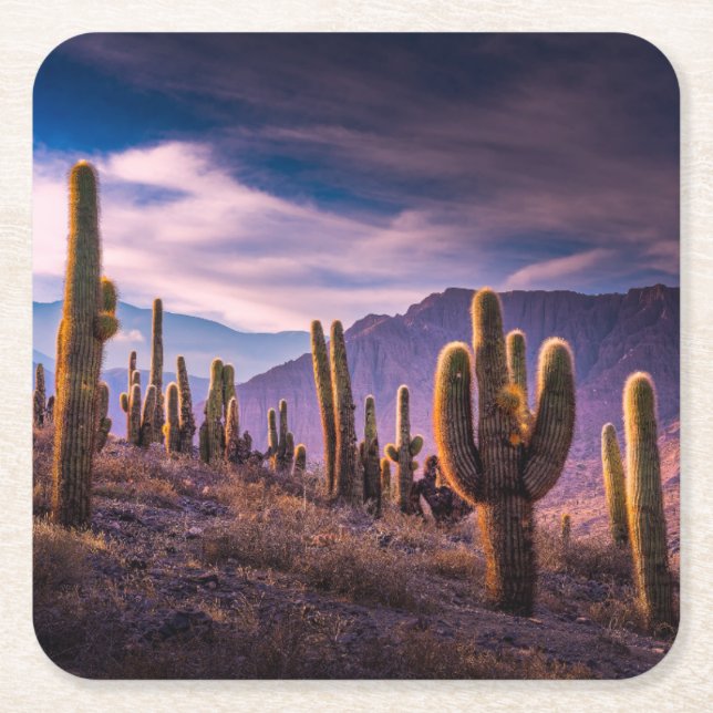 Dessous De Verre Carré Deserts | Cactus Landscape Argentina (Devant)