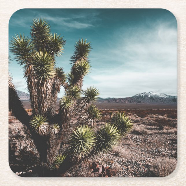 Dessous De Verre Carré Deserts | Cholla (Devant)