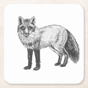 Dessous De Verre Carré Dessin Fox