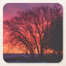 Dessous de verre Arbre et Coucher de soleil