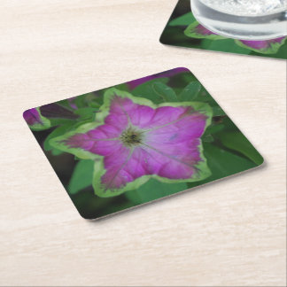 Dessous De Verre Carré Dessous de verre de fleur sauvage